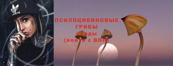 гидра Беломорск