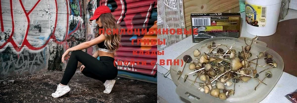 бошки Лиски