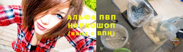 гидра Беломорск