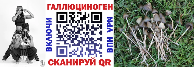 Псилоцибиновые грибы Psilocybine cubensis  кракен как зайти  Мариинский Посад 